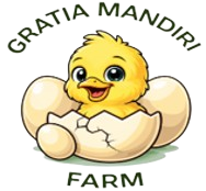 GMF Logo